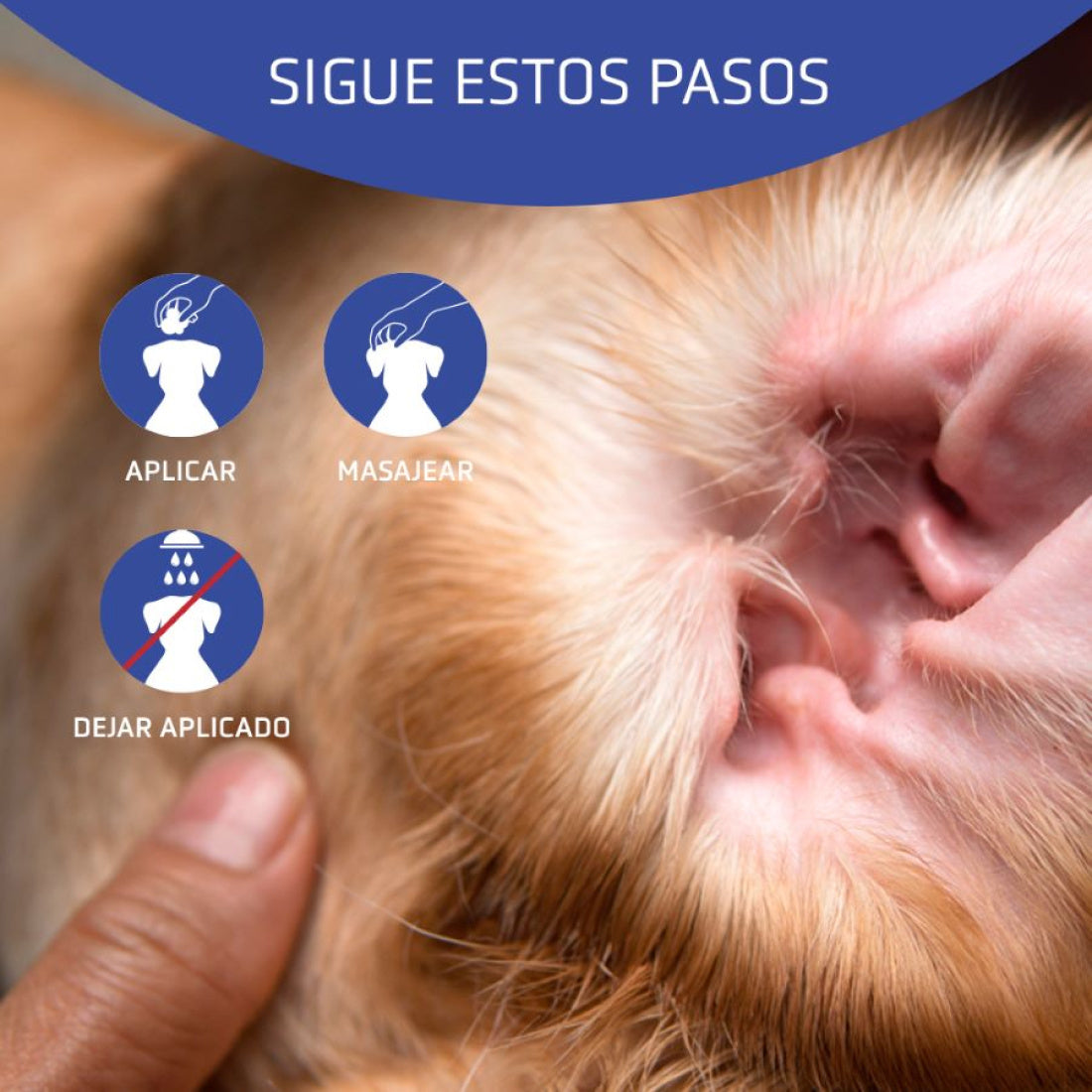 Aurigel Artero 100 ml Limpiador de oídos para perros.