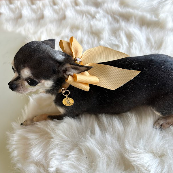 Collar "Classic Doll" Cammel