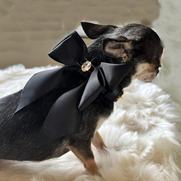 Collar "Classic Doll" Black
