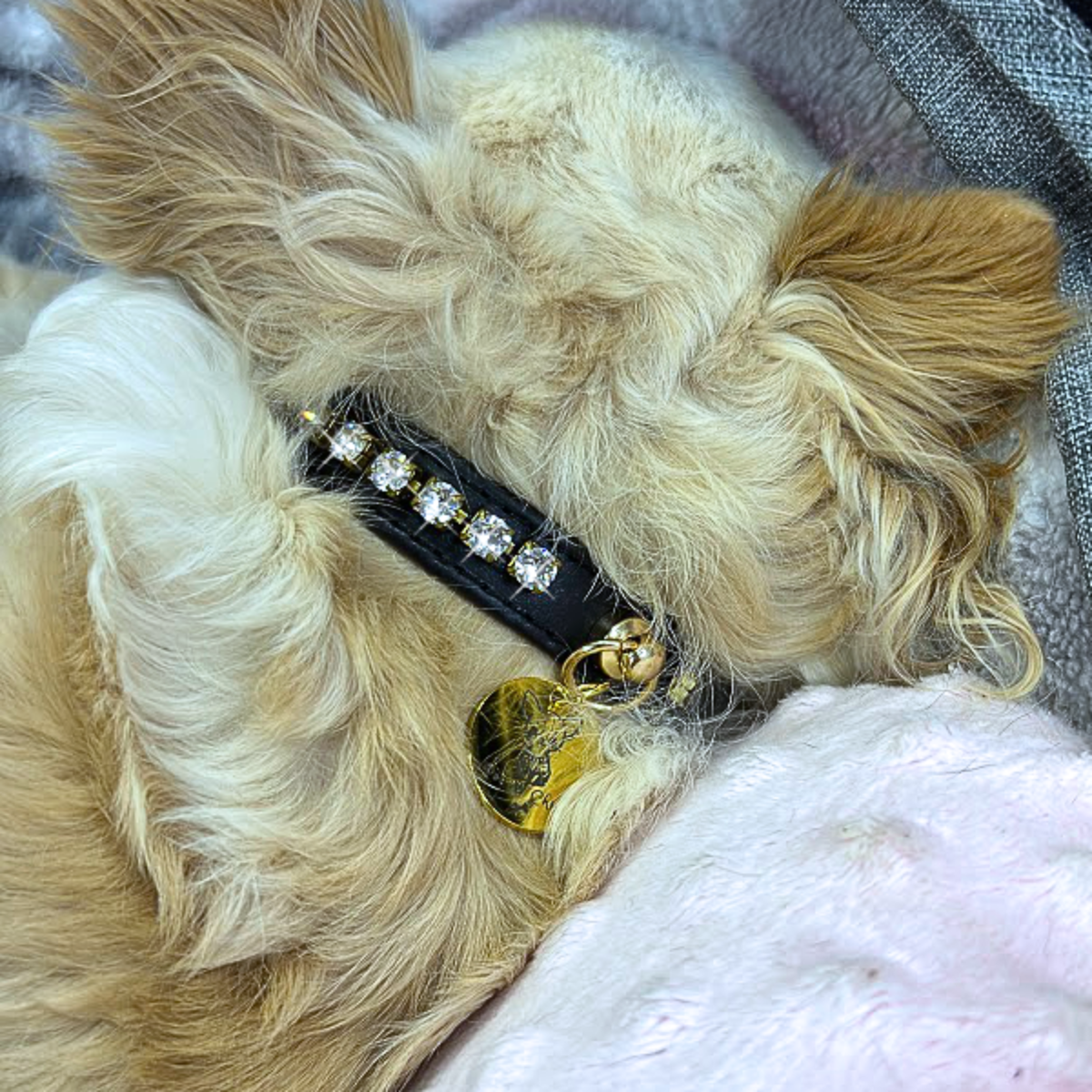 Collar "Luxury Chain" Oudry