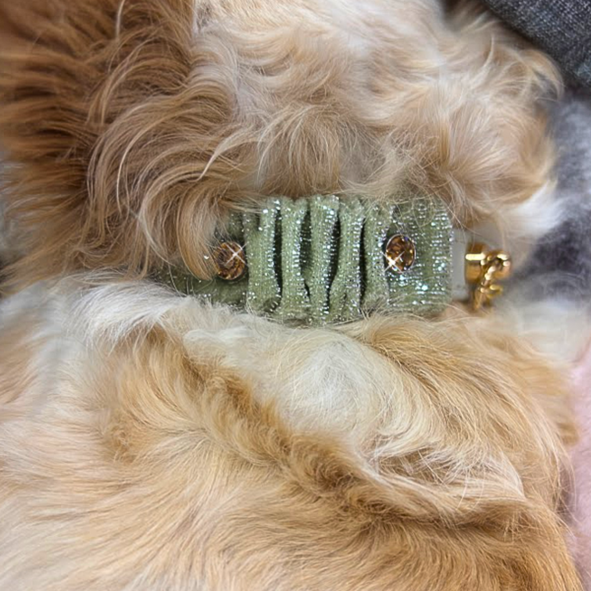 Collar Winter "StrilKy"