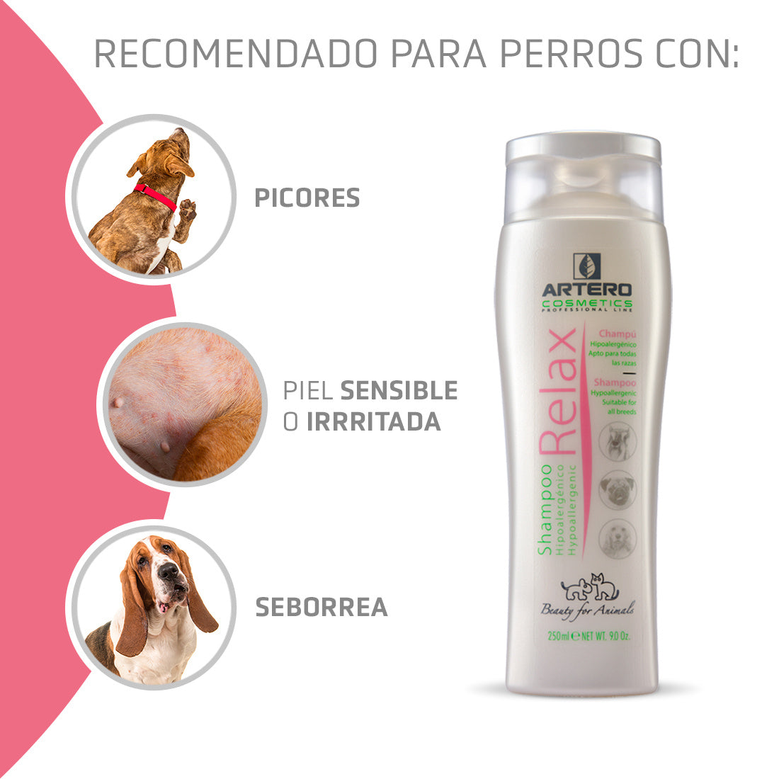 Champú Relax Artero 100ml