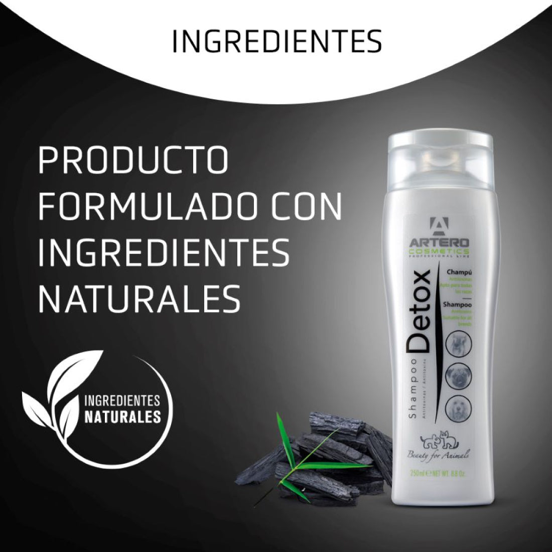 Champú Detox Artero 100ml