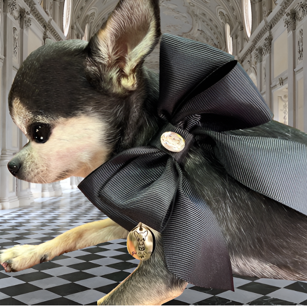 Collar "Classic Doll" Black