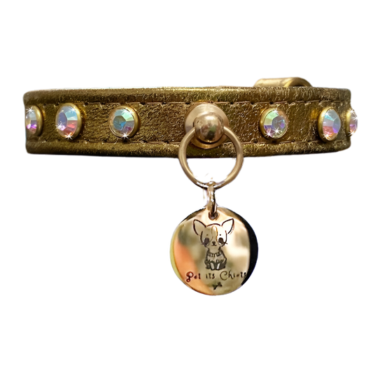 Collar "PawRocks" Boreal Sun