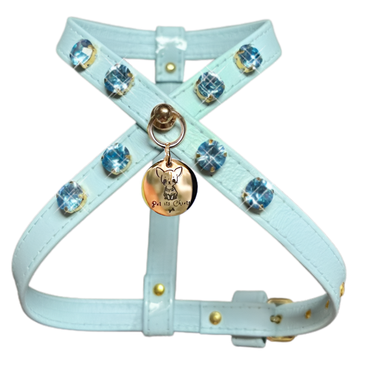 Arnés Blue "Paradise"