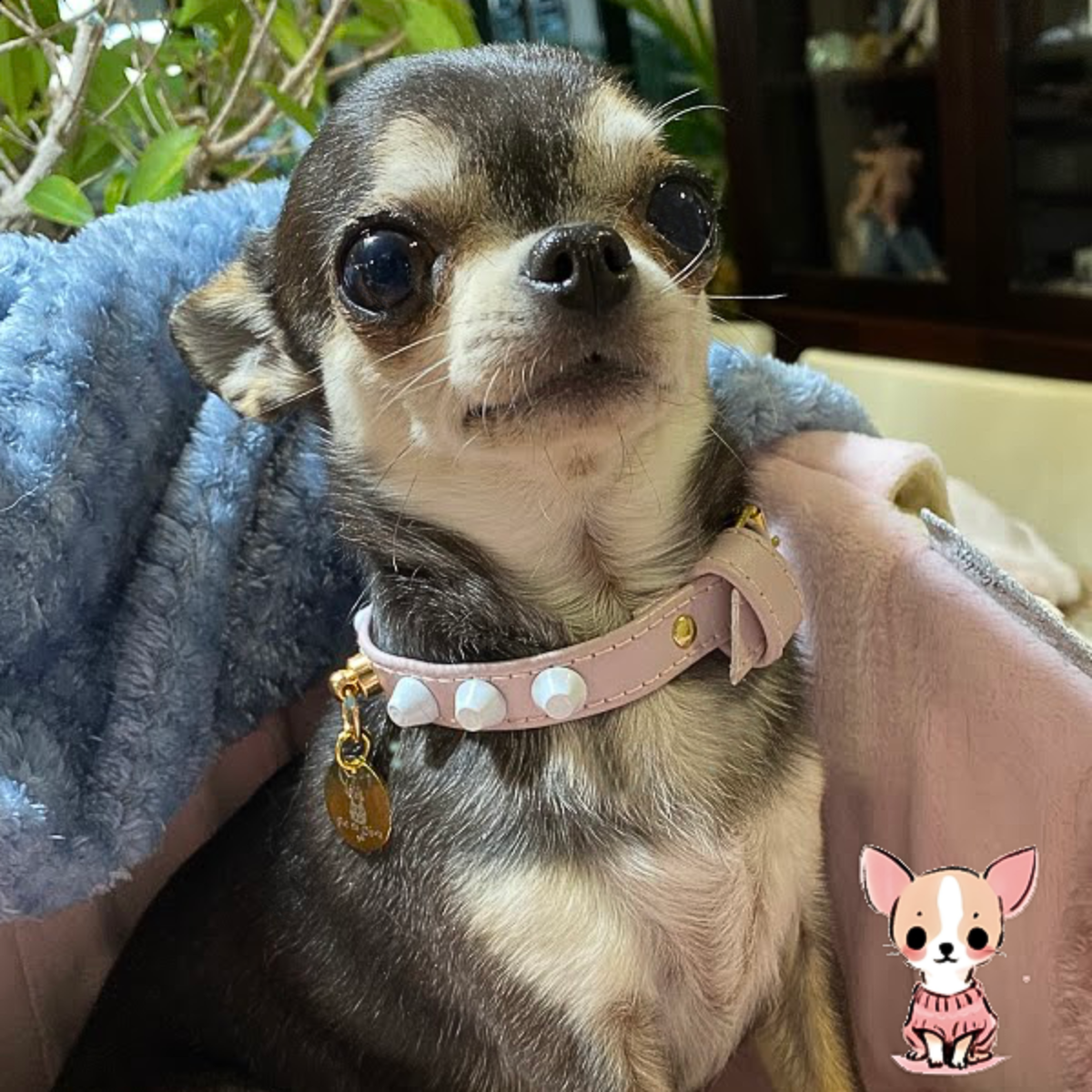 Collar "FiercePup" Pink/White