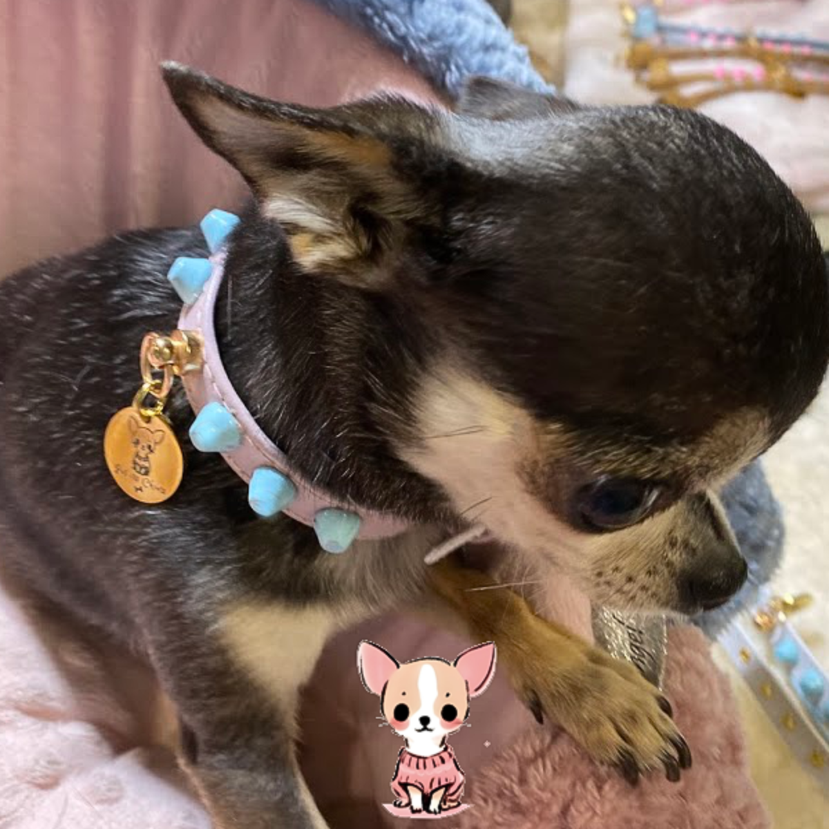Collar "FiercePup" Pink/Blue