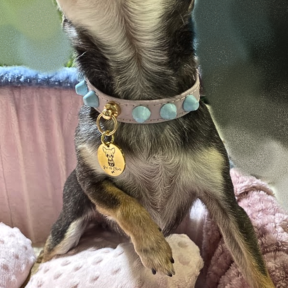 Collar "FiercePup" Pink/Blue