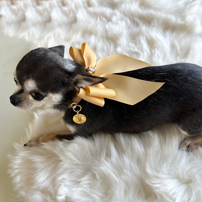 Collar "Classic Doll" Cammel