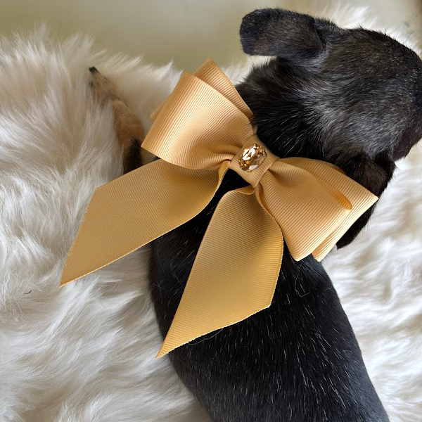 Collar "Classic Doll" Cammel