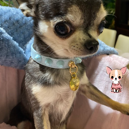 Collar "FiercePup" Baby Blue
