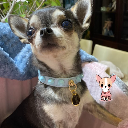 Collar "FiercePup" Baby Blue
