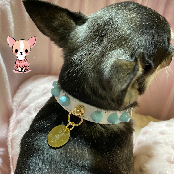 Collar "FiercePup" White/ Baby Blue