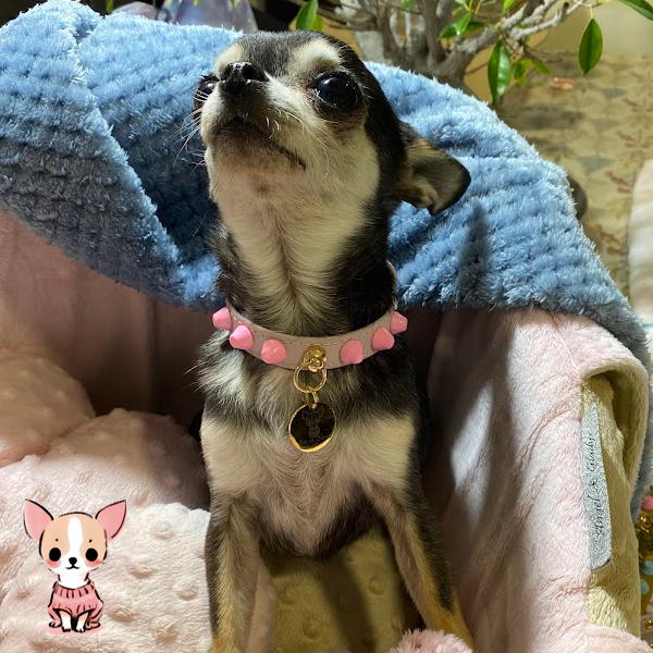 Collar "FiercePup" Baby Pink