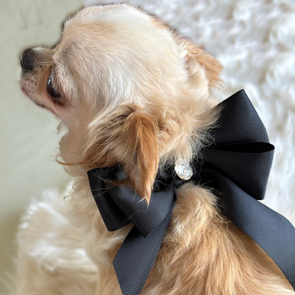 Collar "Classic Doll" Black