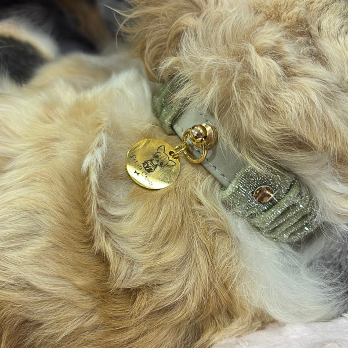 Collar Winter "StrilKy"