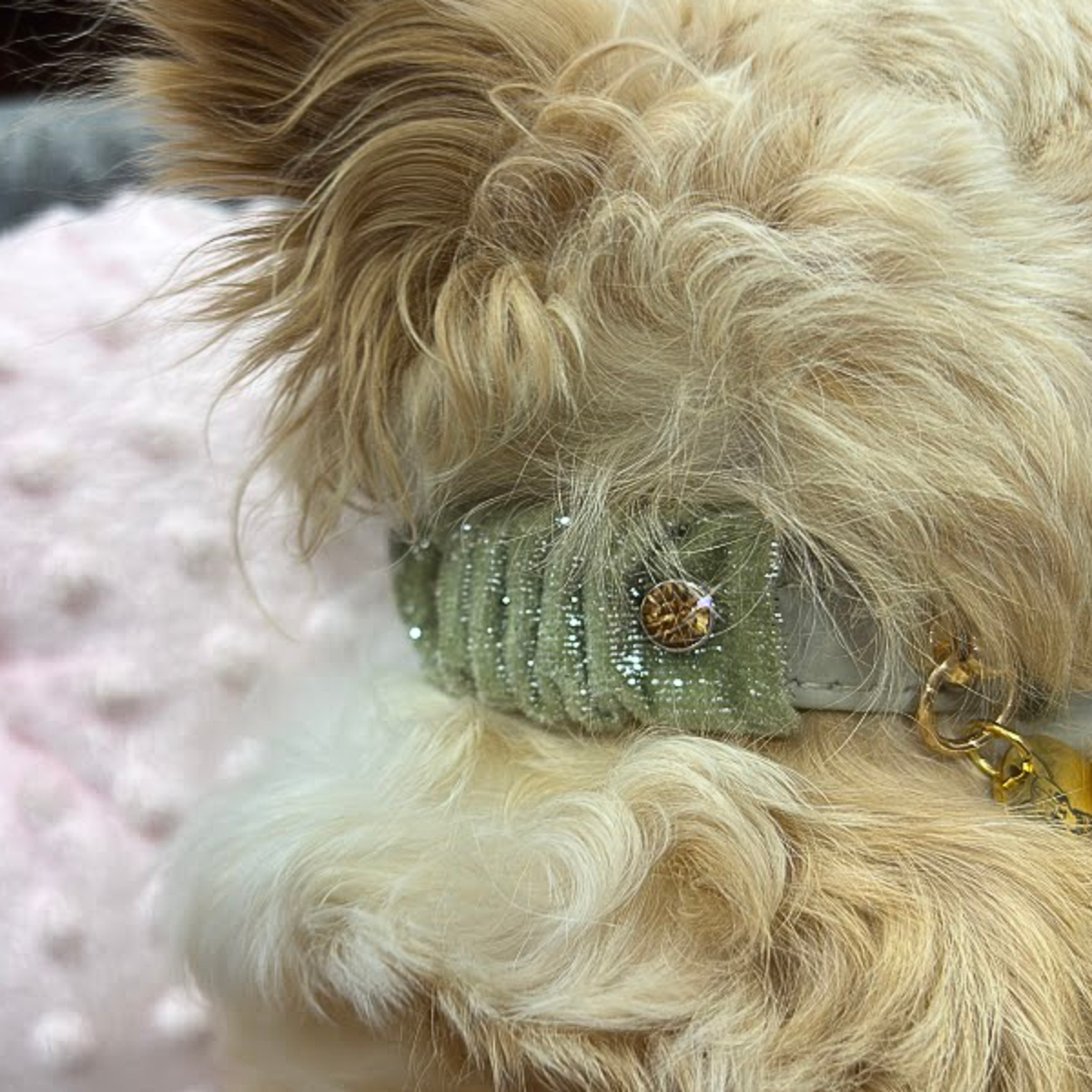Collar Winter "StrilKy"