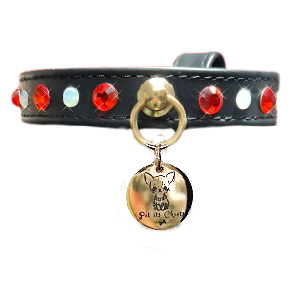 Collar Especial "Halloween"