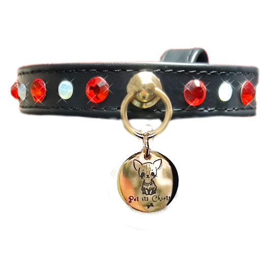 Collar Especial "Halloween"