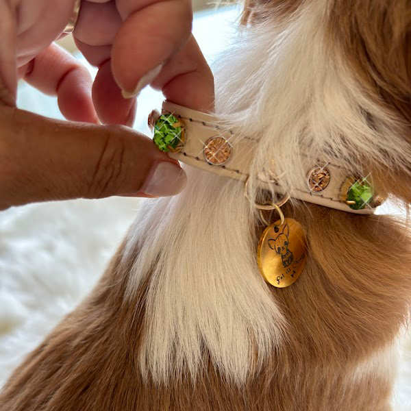 Collar  "Autumn Light"