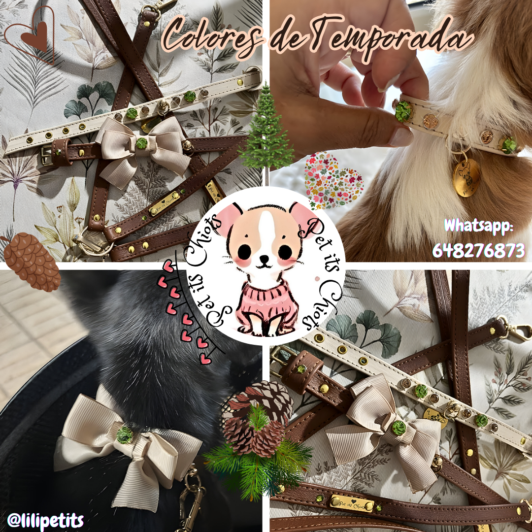 Collar Candy Bow Autumn Light