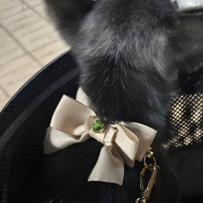 Collar Candy Bow Autumn Light