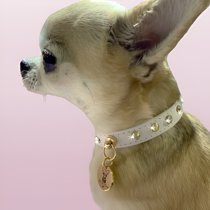 Collar "PawRocks" Snow