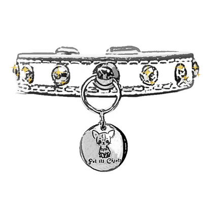 Collar "PawRocks"Yours