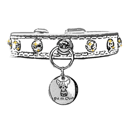 Collar "PawRocks"Yours