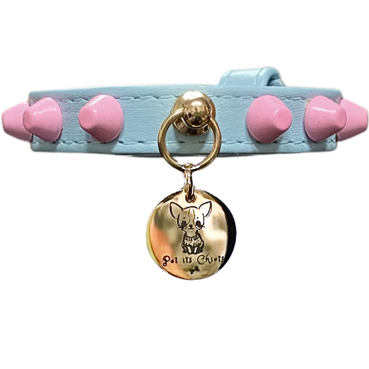Collar "FiercePup" Blue/Pink