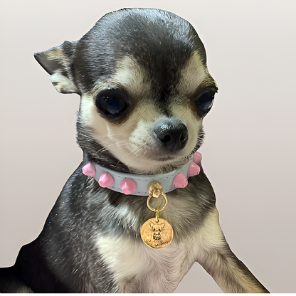 Collar "FiercePup" Blue/Pink