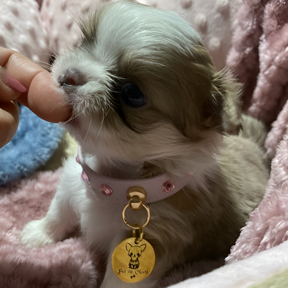 Collar "First Petit" Baby Pink