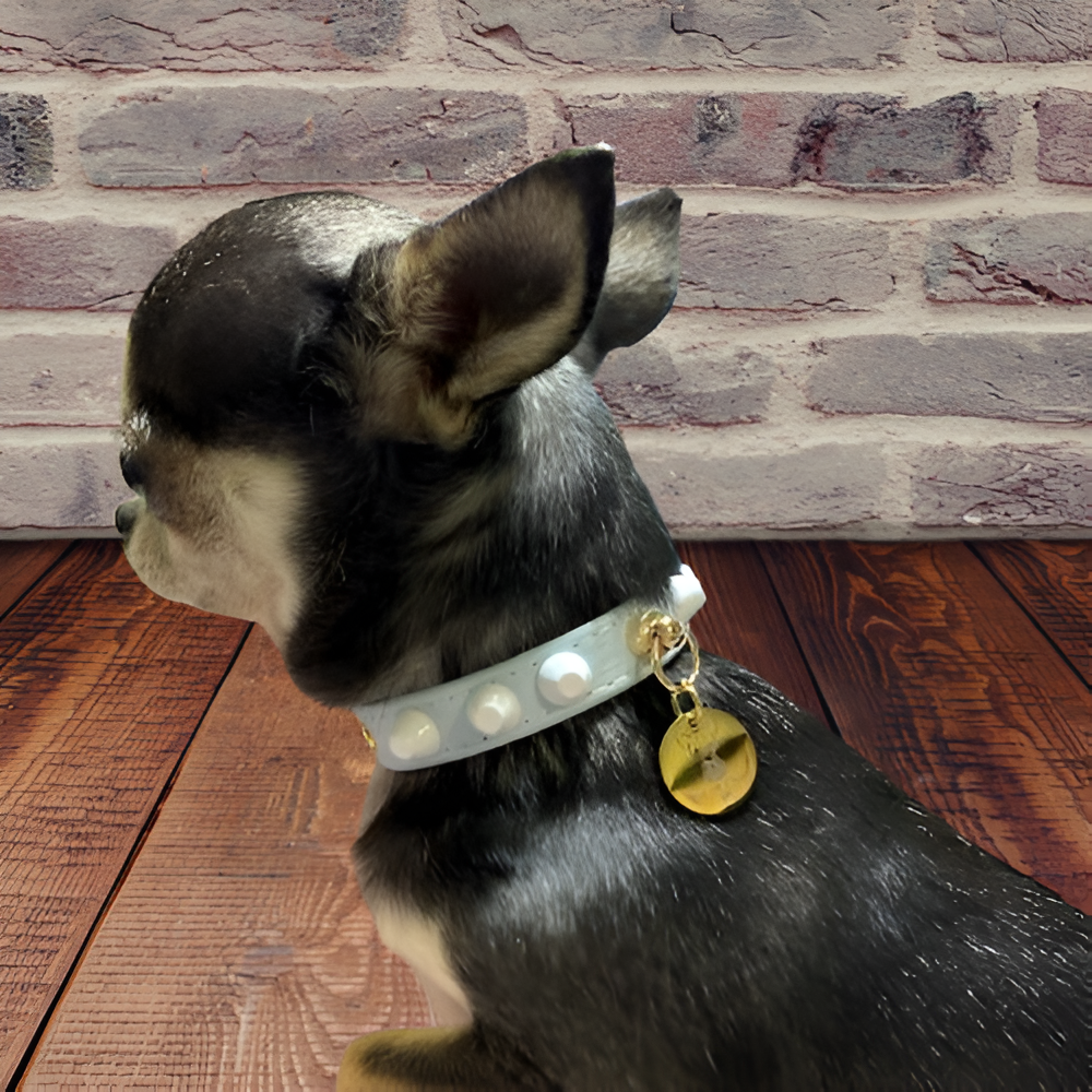 Collar "FiercePup" Blue/White