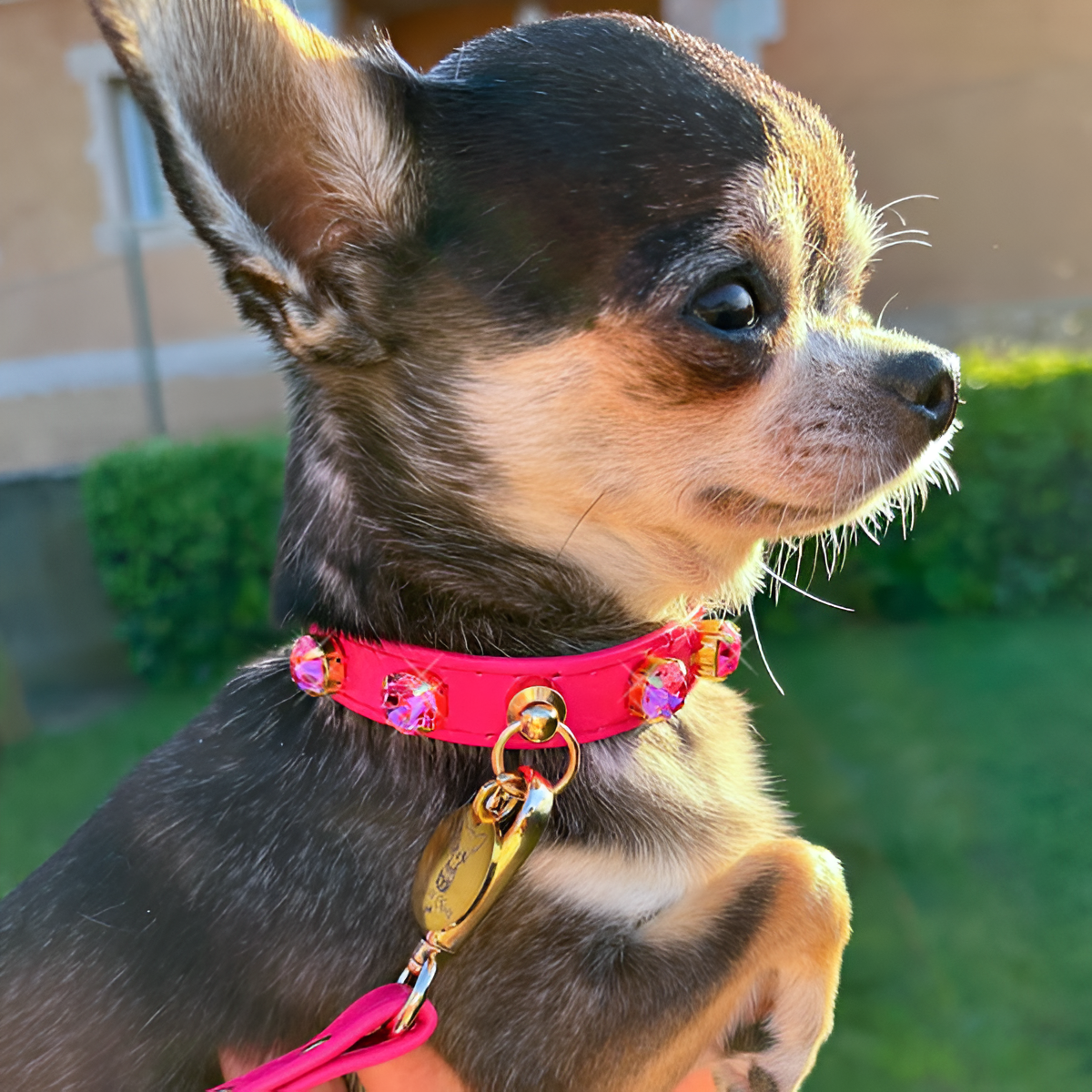 Collar Pink "Paradise"