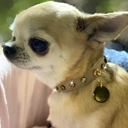 Collar "PawRocks" Sand