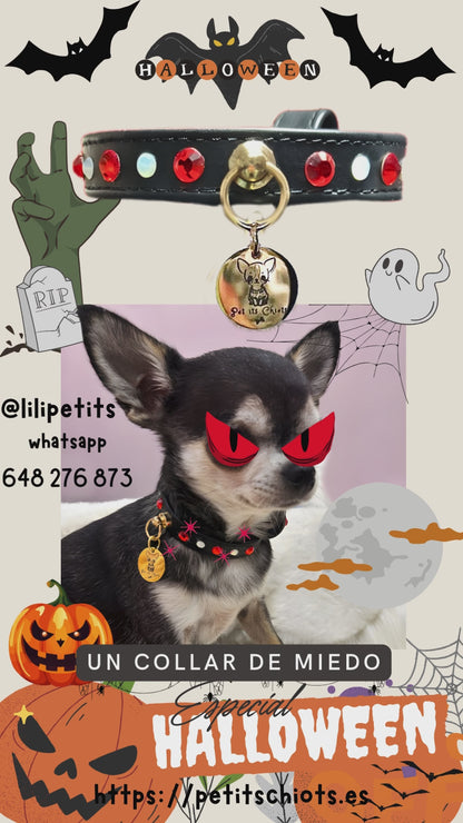 Collar Especial "Halloween"